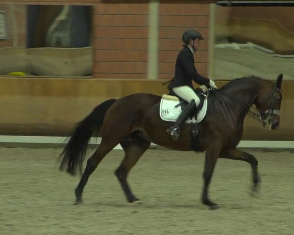Reitturnier Mönchengladbach-Wickrath 2018