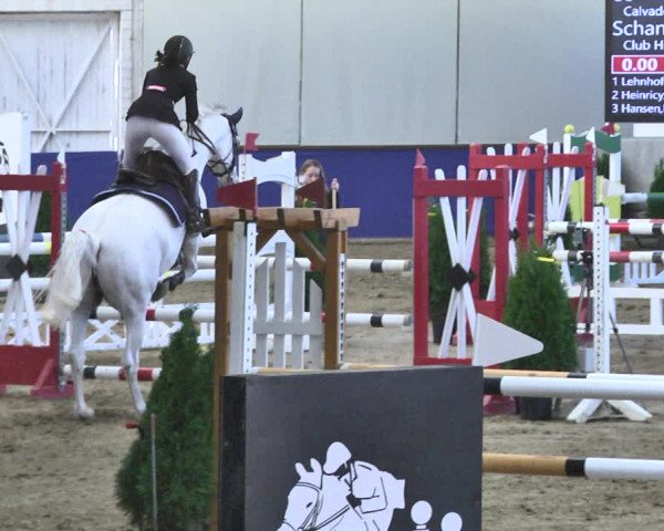 Reitturnier Trier - Hofgut Monaise / Halle 2018