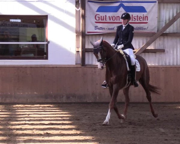 Reitturnier Kellinghusen 2018