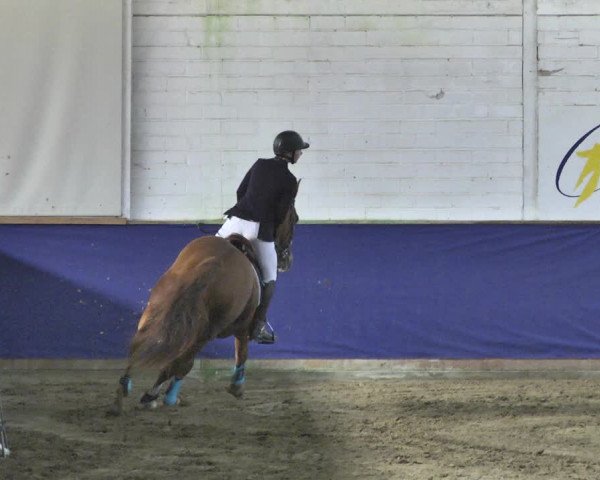 Reitturnier Trier - Hofgut Monaise / Halle 2018