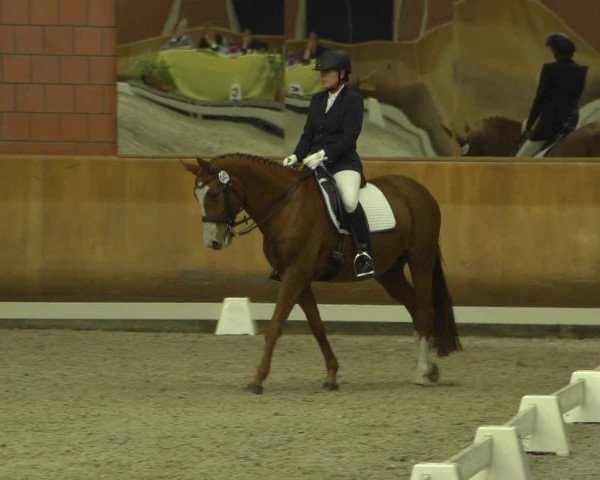 Reitturnier Mönchengladbach-Wickrath 2018