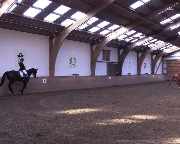Reitturnier Kellinghusen 2018