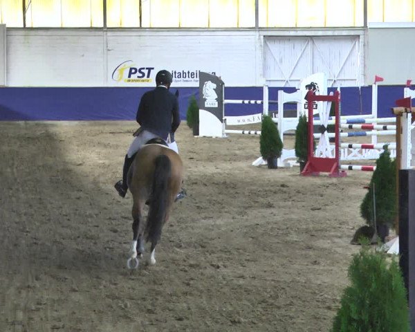 Reitturnier Trier - Hofgut Monaise / Halle 2018