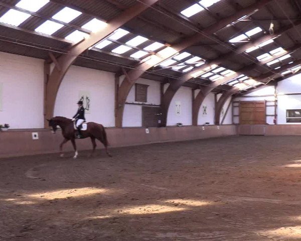 Reitturnier Kellinghusen 2018