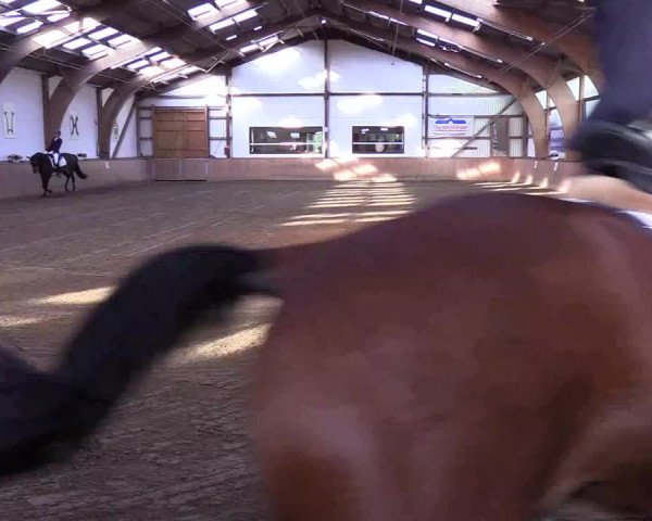 Reitturnier Kellinghusen 2018