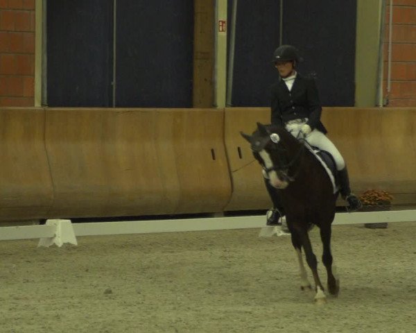Reitturnier Mönchengladbach-Wickrath 2018