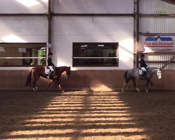 Reitturnier Kellinghusen 2018