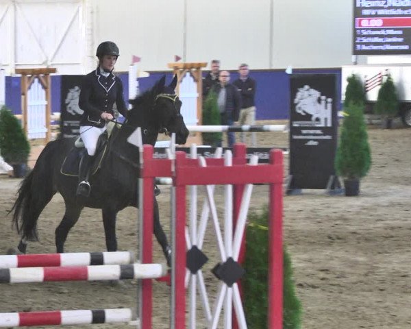 Reitturnier Trier - Hofgut Monaise / Halle 2018