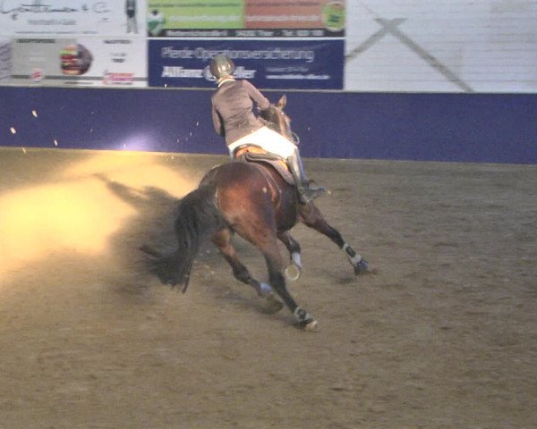 Reitturnier Trier - Hofgut Monaise / Halle 2018