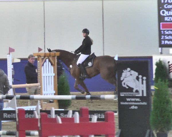 Reitturnier Trier - Hofgut Monaise / Halle 2018