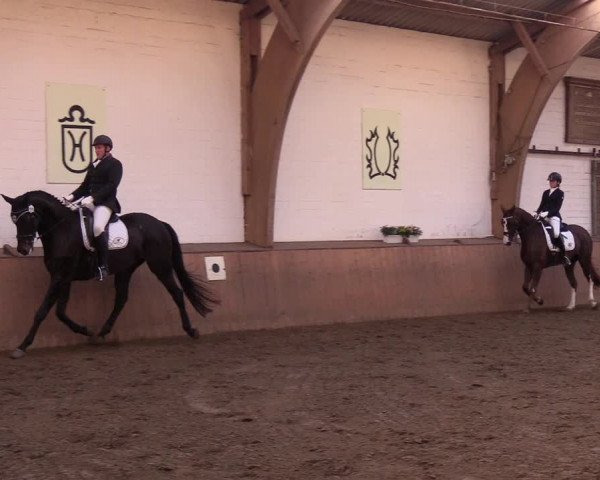 Reitturnier Kellinghusen 2018