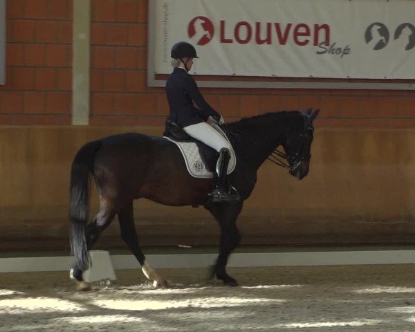 Reitturnier Mönchengladbach-Wickrath 2018