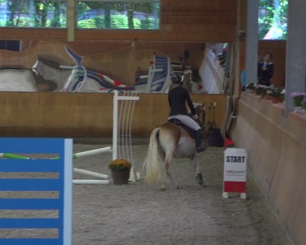 Reitturnier Mönchengladbach-Wickrath 2018