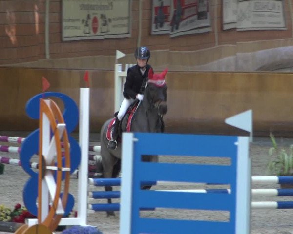 Reitturnier Mönchengladbach-Wickrath 2018