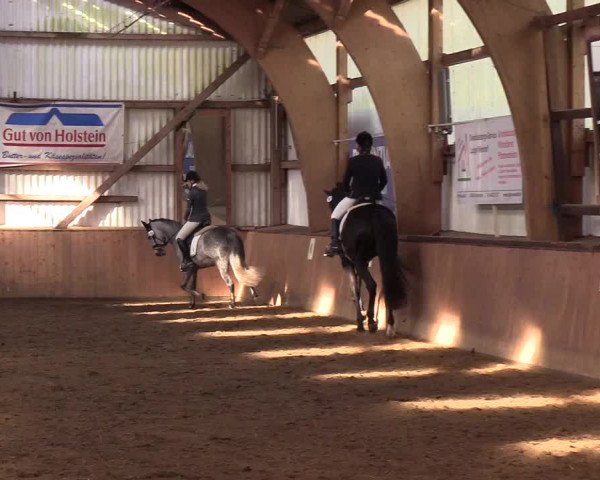 Reitturnier Kellinghusen 2018