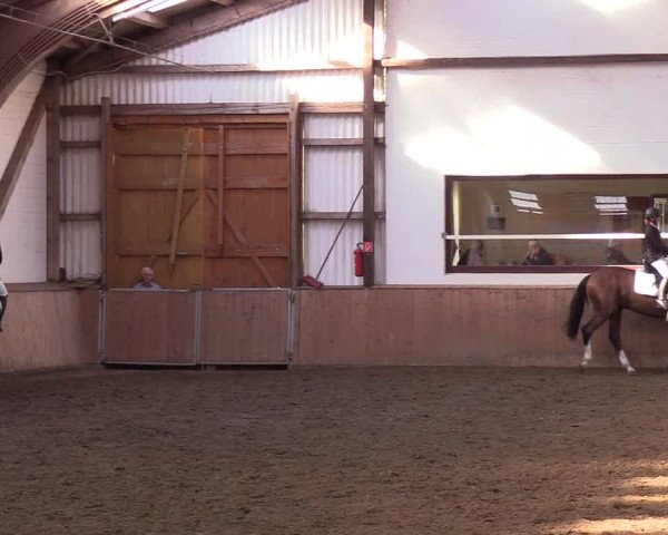 Reitturnier Kellinghusen 2018