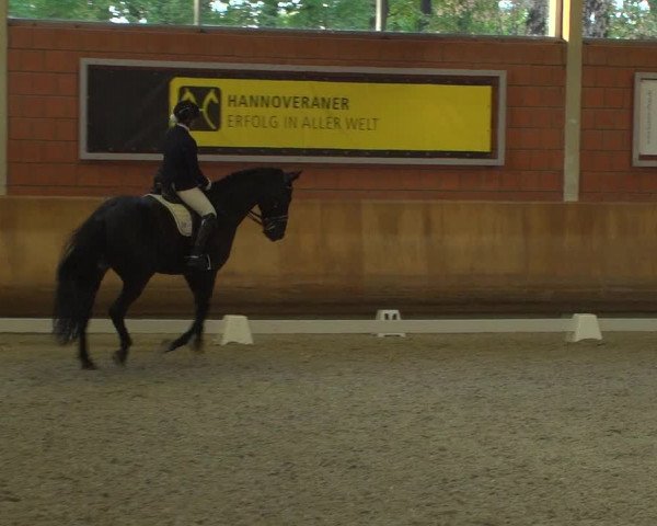 Reitturnier Mönchengladbach-Wickrath 2018