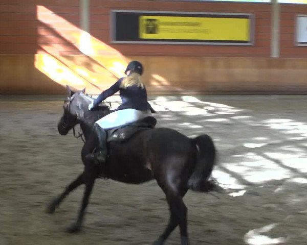 Reitturnier Mönchengladbach-Wickrath 2018