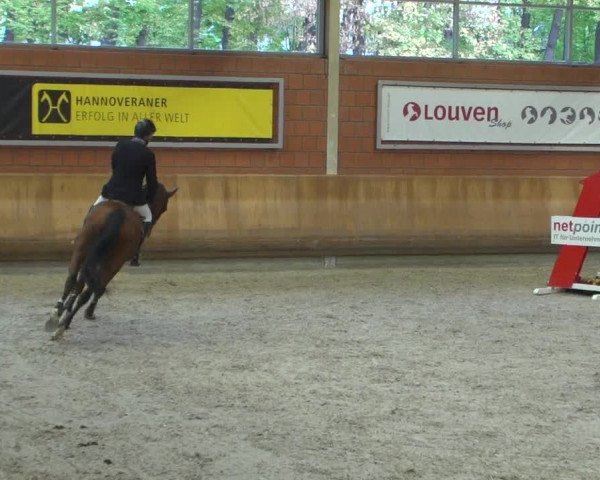 Reitturnier Mönchengladbach-Wickrath 2018