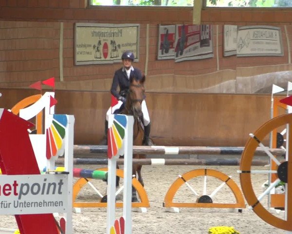 Reitturnier Mönchengladbach-Wickrath 2018