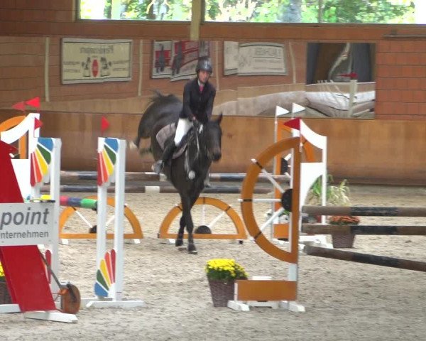 Reitturnier Mönchengladbach-Wickrath 2018