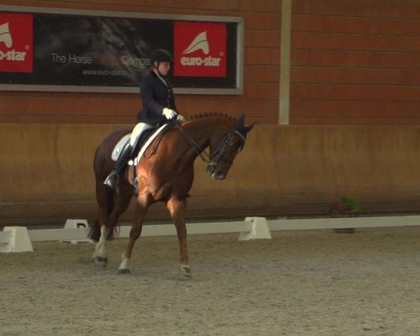 Reitturnier Mönchengladbach-Wickrath 2018