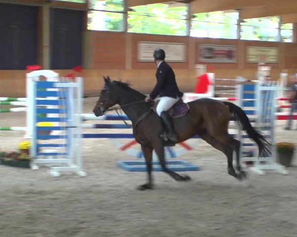 Reitturnier Mönchengladbach-Wickrath 2018
