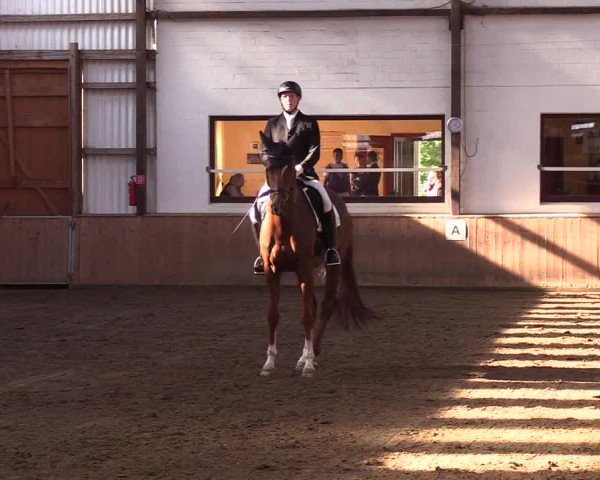Reitturnier Kellinghusen 2018
