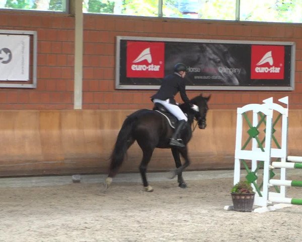 Reitturnier Mönchengladbach-Wickrath 2018