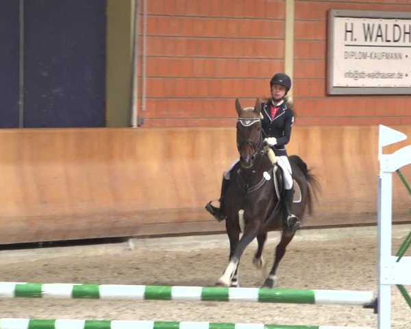 Reitturnier Mönchengladbach-Wickrath 2018