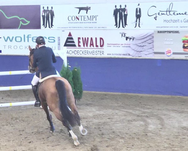 Reitturnier Trier - Hofgut Monaise / Halle 2018