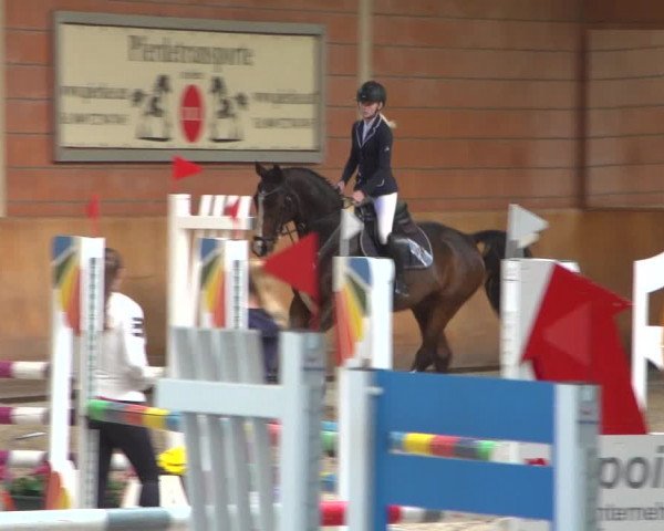 Reitturnier Mönchengladbach-Wickrath 2018