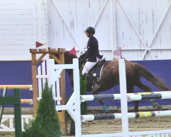 Reitturnier Trier - Hofgut Monaise / Halle 2018