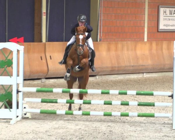 Reitturnier Mönchengladbach-Wickrath 2018