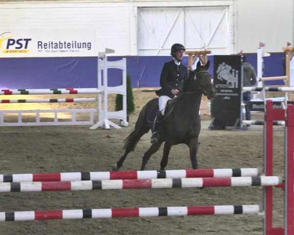 Reitturnier Trier - Hofgut Monaise / Halle 2018
