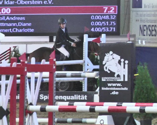 Reitturnier Trier - Hofgut Monaise / Halle 2018