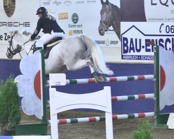 Reitturnier Trier - Hofgut Monaise / Halle 2018