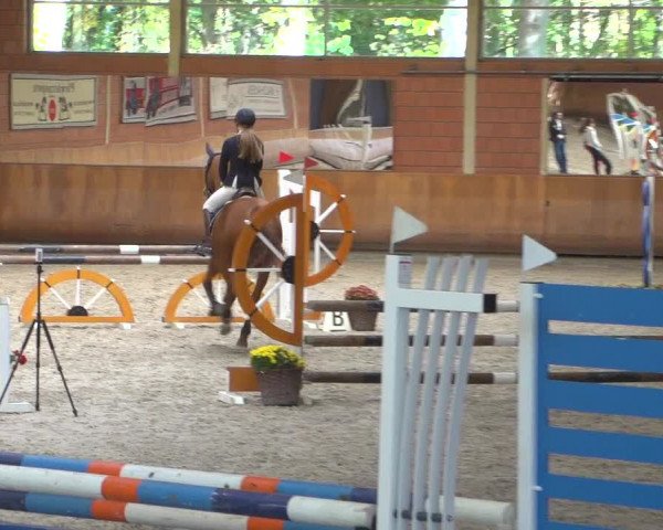 Reitturnier Mönchengladbach-Wickrath 2018