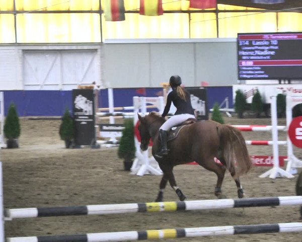 Reitturnier Trier - Hofgut Monaise / Halle 2018