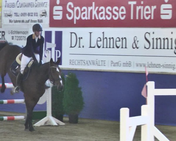 Reitturnier Trier - Hofgut Monaise / Halle 2018