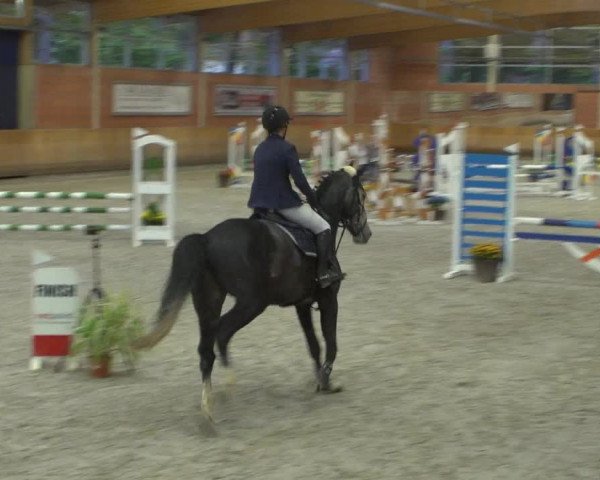 Reitturnier Mönchengladbach-Wickrath 2018