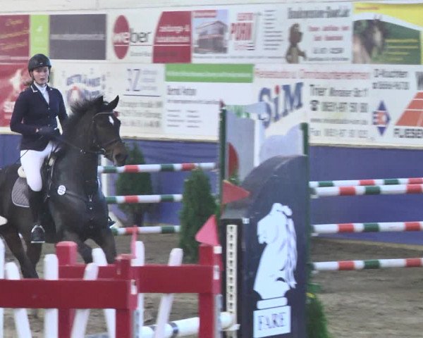 Reitturnier Trier - Hofgut Monaise / Halle 2018