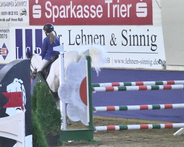 Reitturnier Trier - Hofgut Monaise / Halle 2018