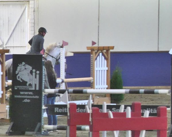 Reitturnier Trier - Hofgut Monaise / Halle 2018