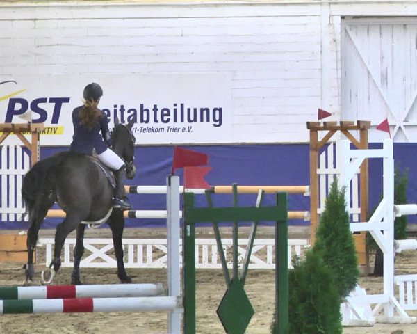 Reitturnier Trier - Hofgut Monaise / Halle 2018