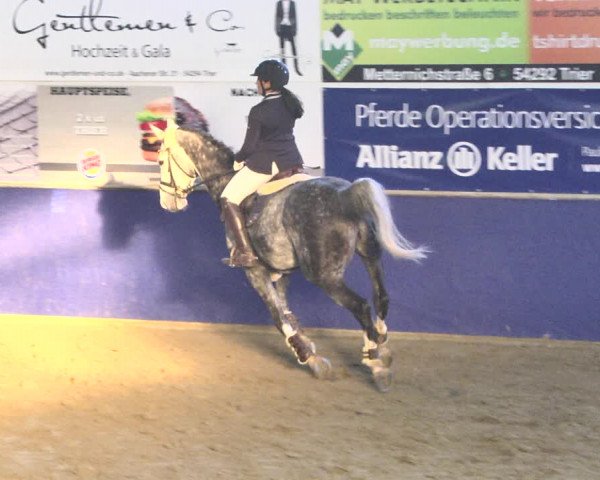 Reitturnier Trier - Hofgut Monaise / Halle 2018
