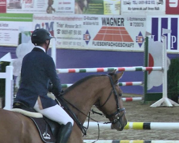 Reitturnier Trier - Hofgut Monaise / Halle 2018