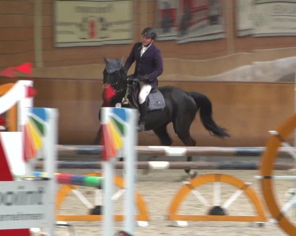 Reitturnier Mönchengladbach-Wickrath 2018