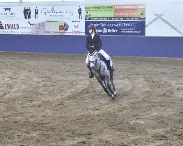 Reitturnier Trier - Hofgut Monaise / Halle 2018