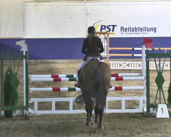 Reitturnier Trier - Hofgut Monaise / Halle 2018